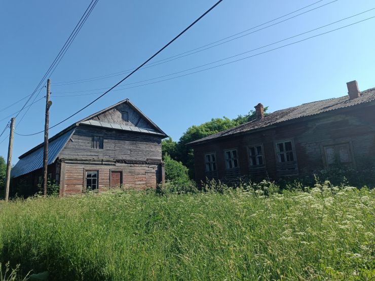 Остатки барской усадьбы. Фото: Валерия Ложкина / gipernn.ru
