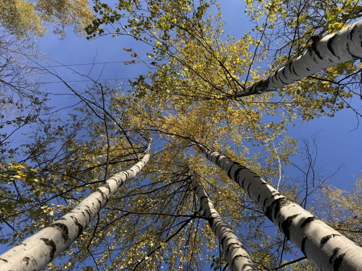 Фото: СЗ «ЖБС-Проект»