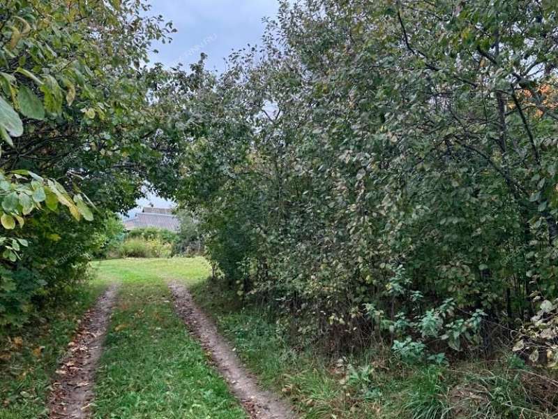 дом на Запрудной улице село Ореховец