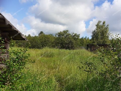 dom-derevnya-filino-gorodskoy-okrug-chkalovsk фото