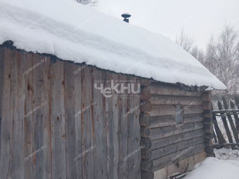 dom-derevnya-grishmanovo-kovriginskiy-selsovet-gorodeckiy-rayon фото