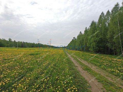 dom-derevnya-bugry-dalnekonstantinovskiy-rayon фото