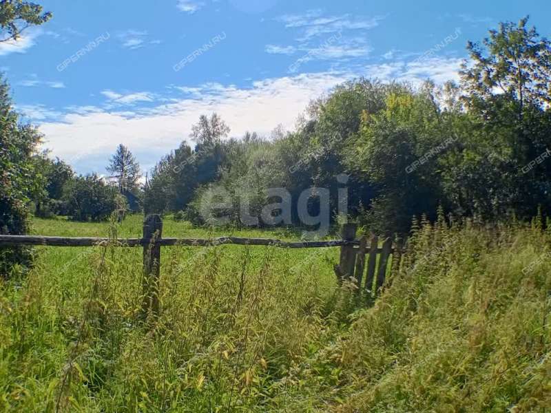 земельный участок 20,4 сотки улица Черкасский Порядок село Афанасьево