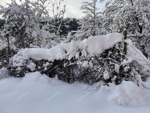 dom-sadovodcheskoe-tovarishhestvo-stroitel-bogorodskiy-municipalnyy-okrug фото