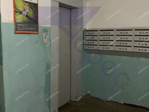 3-komnatnaya-ul-genkinoy-d-102 фото