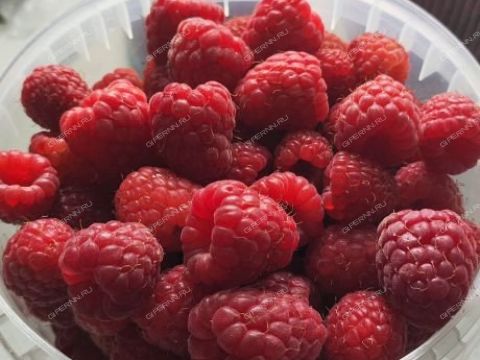 dom-derevnya-cheremisskoe-kstovskiy-rayon фото