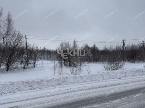 selo-bezvodnoe-kstovskiy-rayon фото