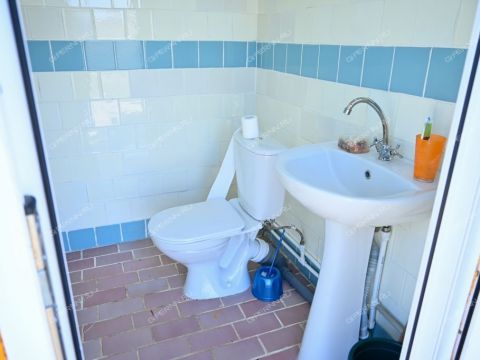 derevnya-vypolzovo-bogorodskiy-municipalnyy-okrug фото