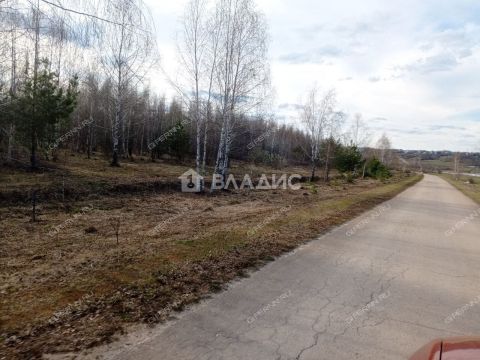 derevnya-inyutino-bogorodskiy-municipalnyy-okrug фото