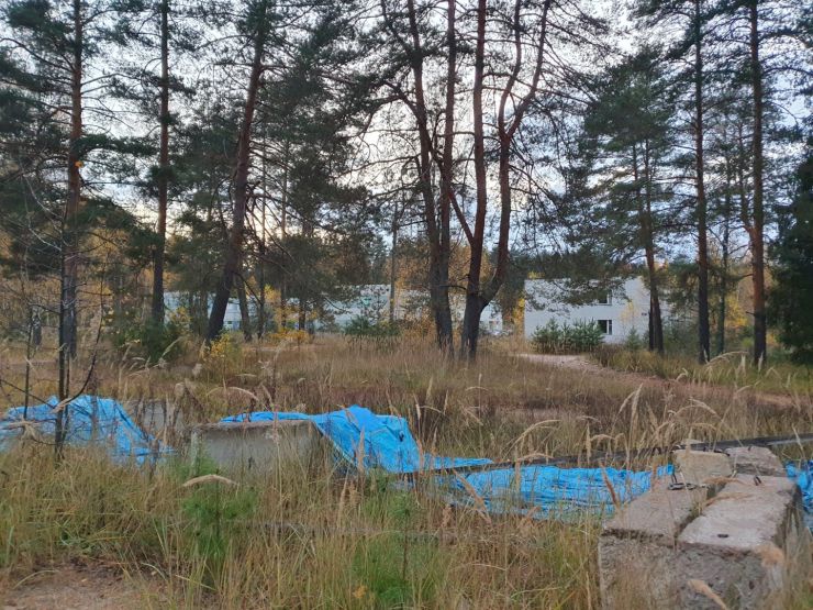 Фото: Ксения Ражева