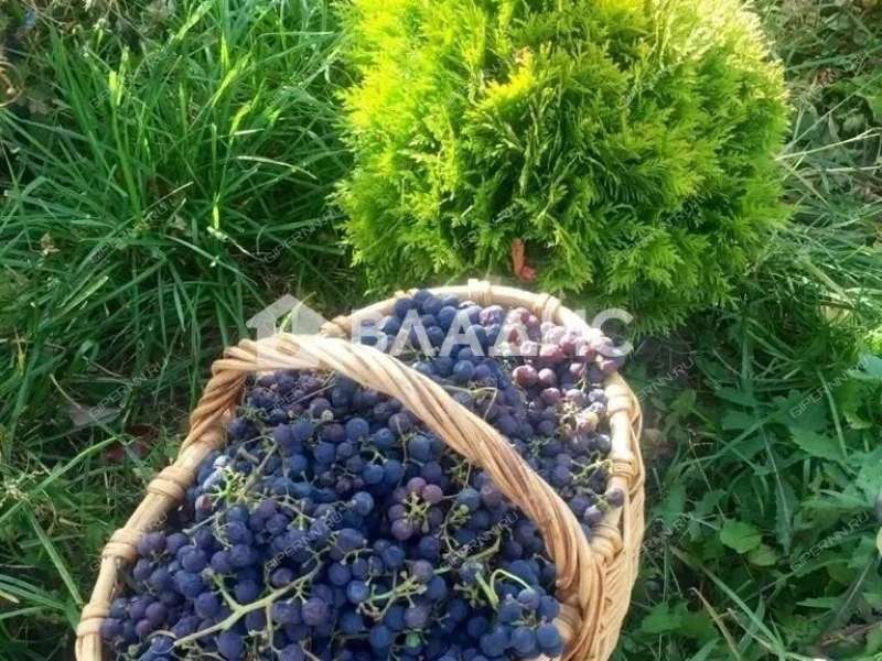 дом на 14А деревня Лунево