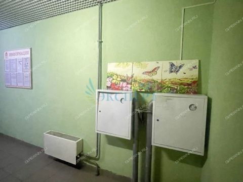 1-komnatnaya-derevnya-afonino-kstovskiy-rayon фото