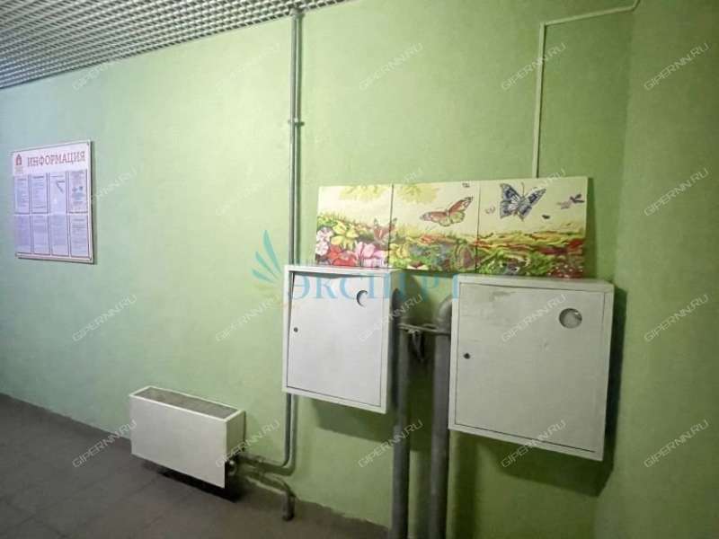 однокомнатная квартира на улице Красная Поляна дом 2 деревня Афонино