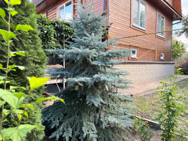 дом на улице Нагорная