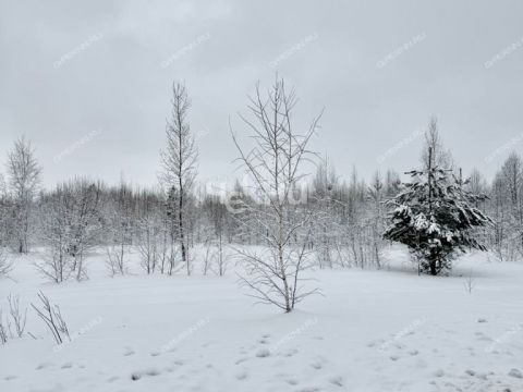 selo-bezvodnoe-kstovskiy-rayon фото