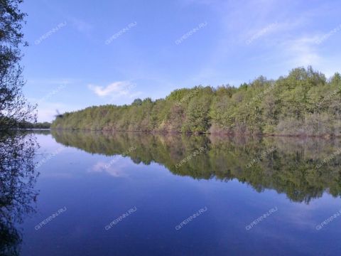 snt-imeni-chkalova-v-p-balahninskiy-municipalnyy-okrug фото