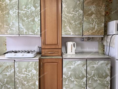 dom-derevnya-novaya-derevnya-kstovskiy-rayon фото