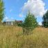 земельный участок 10 соток Садовая деревня Непецино