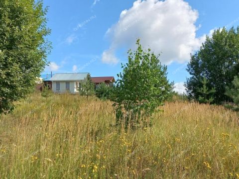 derevnya-nepecino-bogorodskiy-municipalnyy-okrug фото