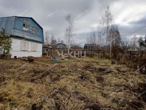 dacha-gorod-bor-gorodskoy-okrug-bor фото