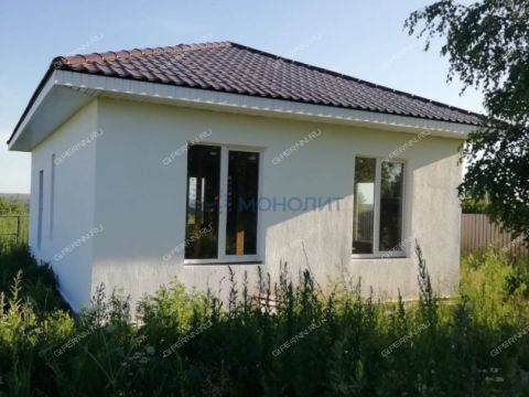 dom-selo-efimevo-bogorodskiy-municipalnyy-okrug фото