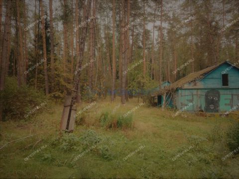 derevnya-syrohvatovo-gorodskoy-okrug-bor фото