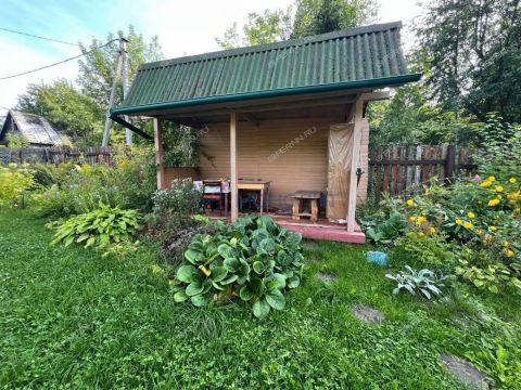 dacha-sadovodcheskoe-nekommercheskoe-tovarishhestvo-romashka-bogorodskiy-municipalnyy-okrug фото