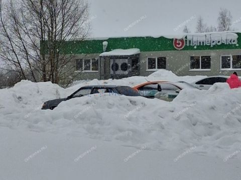 3-komnatnaya-ul-pushkina-d-21 фото