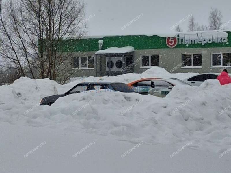 трёхкомнатная квартира на улице Пушкина дом 21