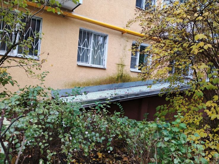 Фото: Галина Р. / vk.com