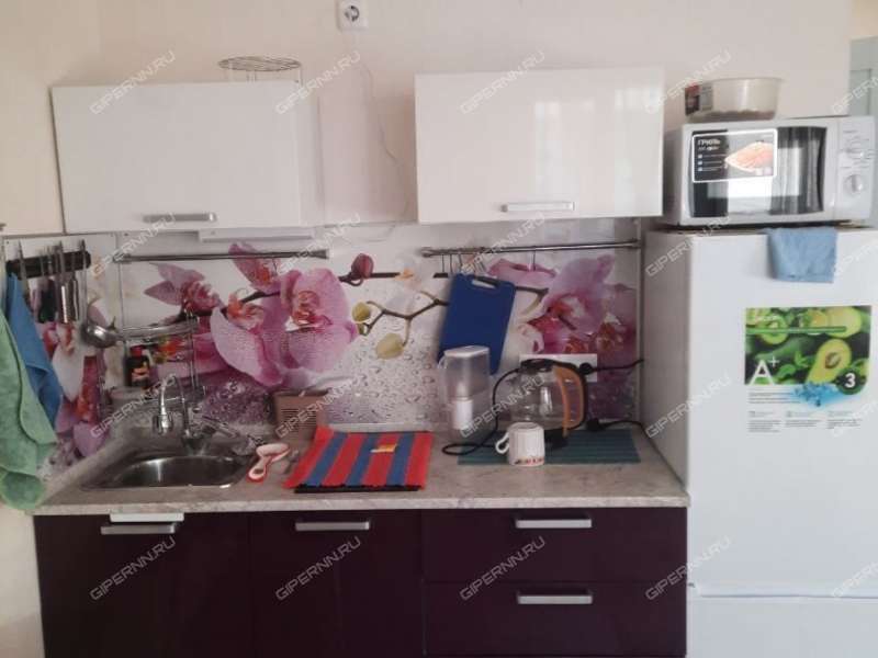 квартира-студия на улице Бориса Видяева дом 23