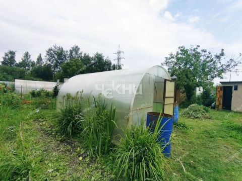 dacha-poselok-doskino-liniya-17-ya-d-650 фото